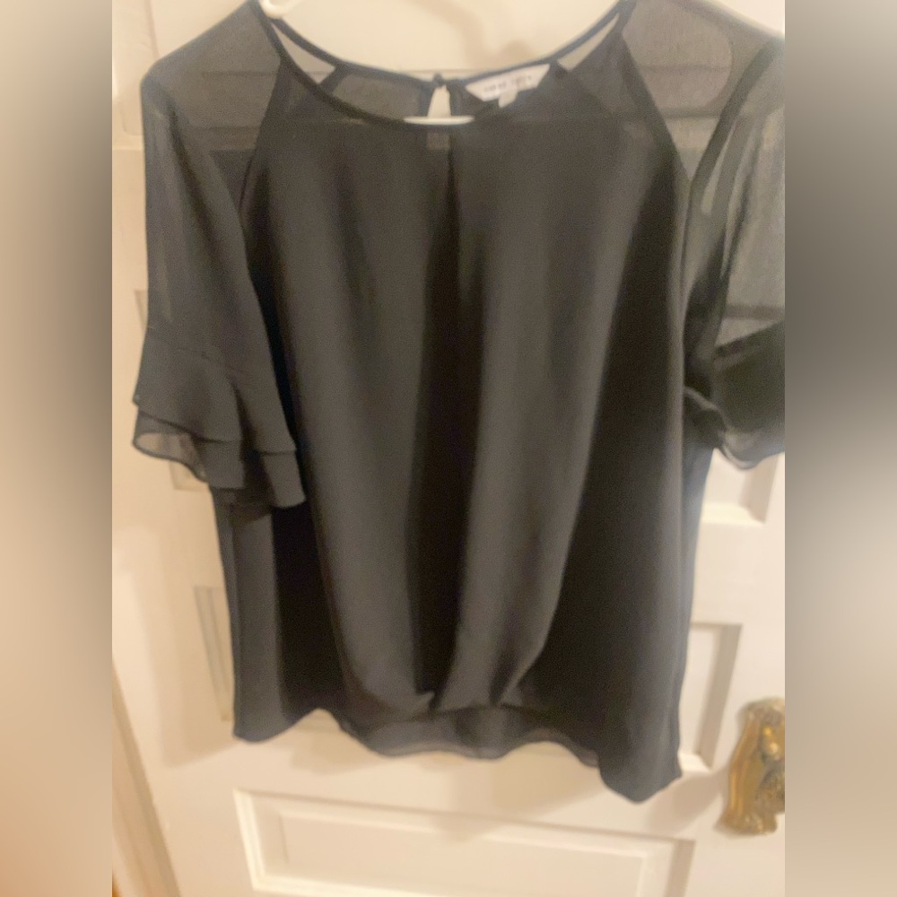 Elegant Black Sheer Blouse